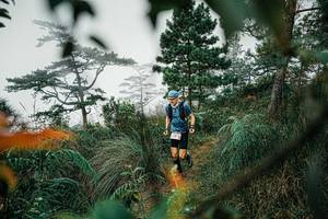 BIB: 
                            <button type="button" onclick="openModal(25258215)" class="btn btn-primary btn-sm float-right btn-popup" data-toggle="modal" data-target=".modal-high-quality">
                        <i class="fas fa-shopping-cart"></i> Add to Cart
                    </button>
                                            <button type="button" onclick="isThisMe(25258215, true)" class="btn btn-success btn-sm float-right btn-popup btn-isme hidden" data-toggle="tooltip" data-placement="bottom" title="นี่คือรูปของคุณใช่ไหม คลิกที่นี่เพื่อเอาเข้าอัลบั้ม">
                        <i class="fas fa-plus"></i> Add to album
                    </button>
                    <button type="button" onclick="isThisMe(25258215, false)" class="btn btn-warning btn-sm float-right btn-popup btn-isnotme hidden">
                        <i class="fas fa-ban"></i> Remove from album
                    </button>